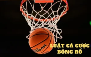 Tìm Hiểu Cá Cược Bóng Rổ GO88 Đỉnh Cao Giải Trí
