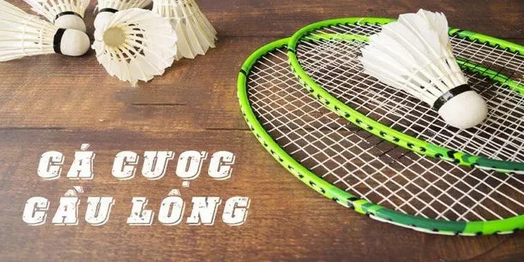 Cách Chơi Cá Cược Cầu Lông Tại GO88 Thắng Lớn Dễ Dàng