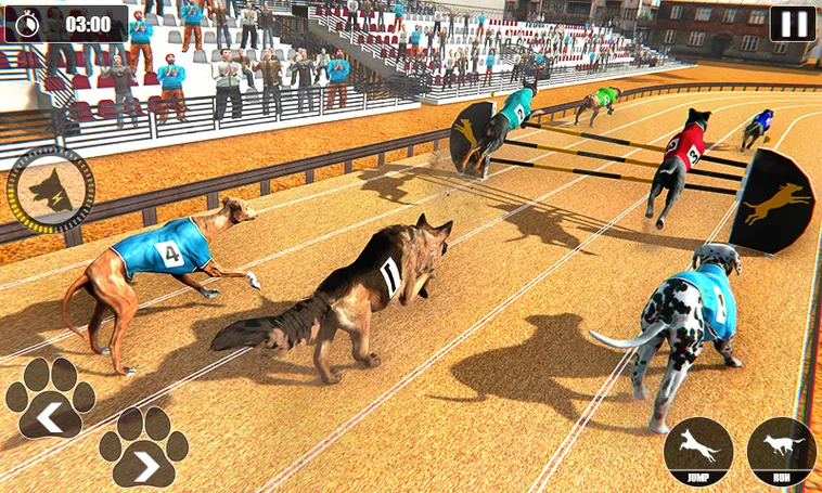 Cách Chơi Game Nhanh Đua Chó Tại GO88 Để Thắng Lớn Dễ Dàng